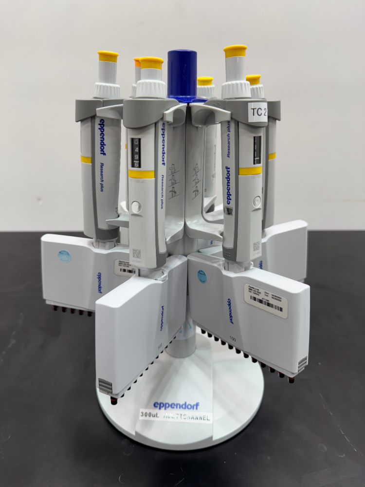 Image of Eppendorf MultiChanel Pippets; Quantity: 6